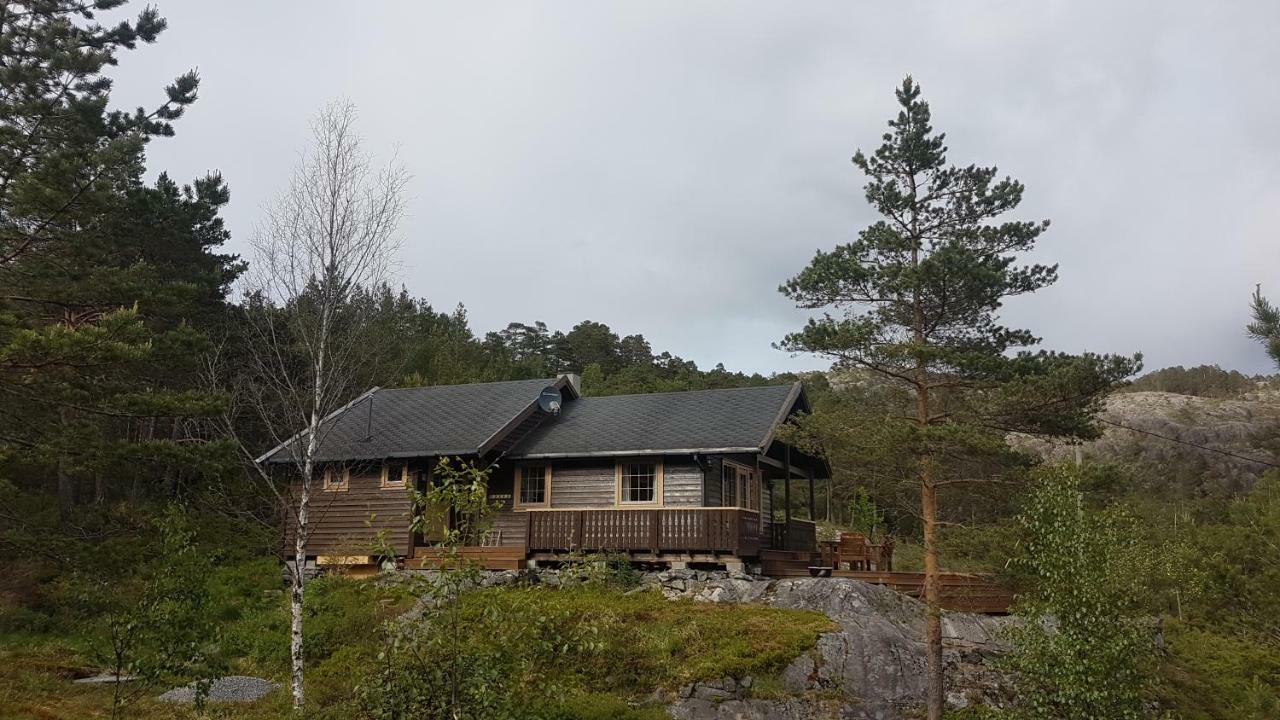 Molvik Hytten Villa Ostereidet Eksteriør billede