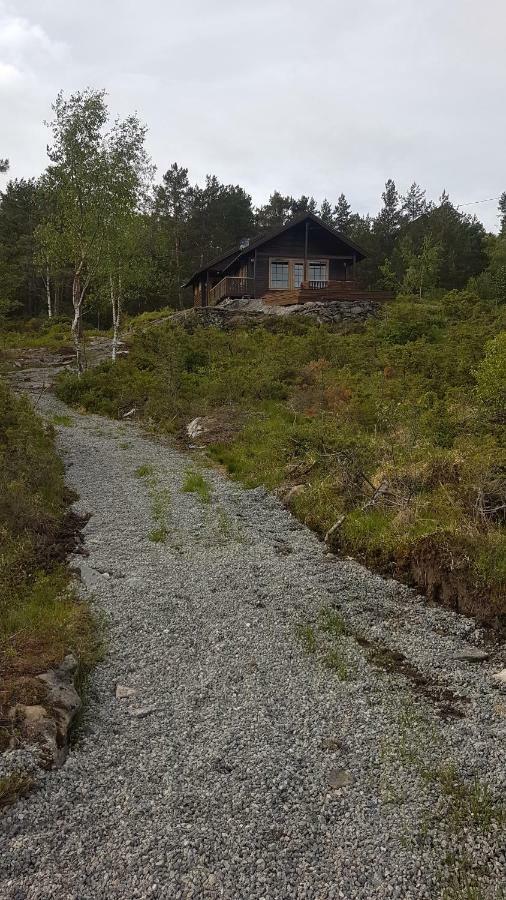 Molvik Hytten Villa Ostereidet Eksteriør billede
