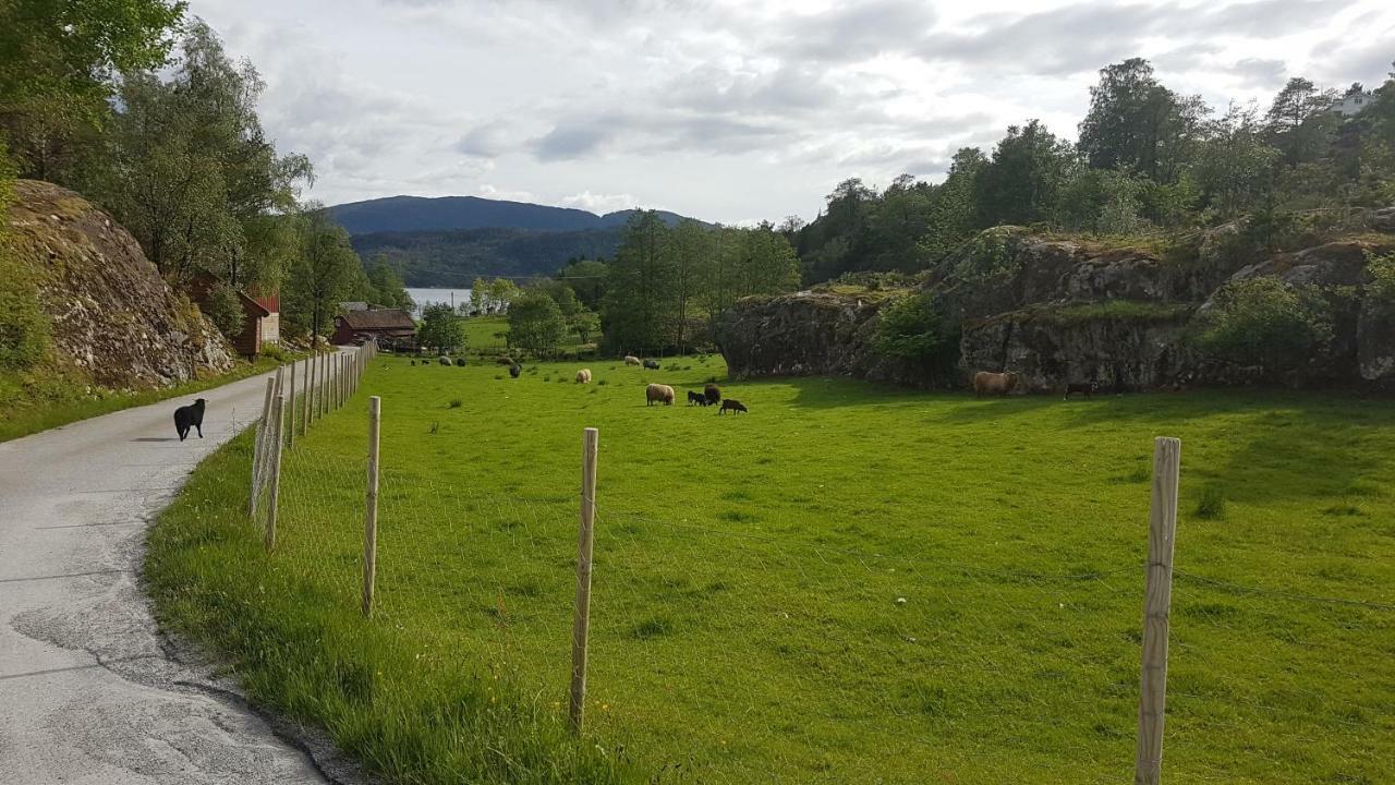 Molvik Hytten Villa Ostereidet Eksteriør billede