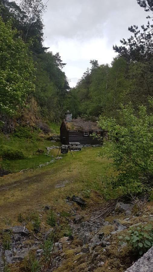 Molvik Hytten Villa Ostereidet Eksteriør billede