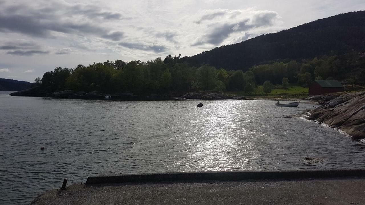 Molvik Hytten Villa Ostereidet Eksteriør billede